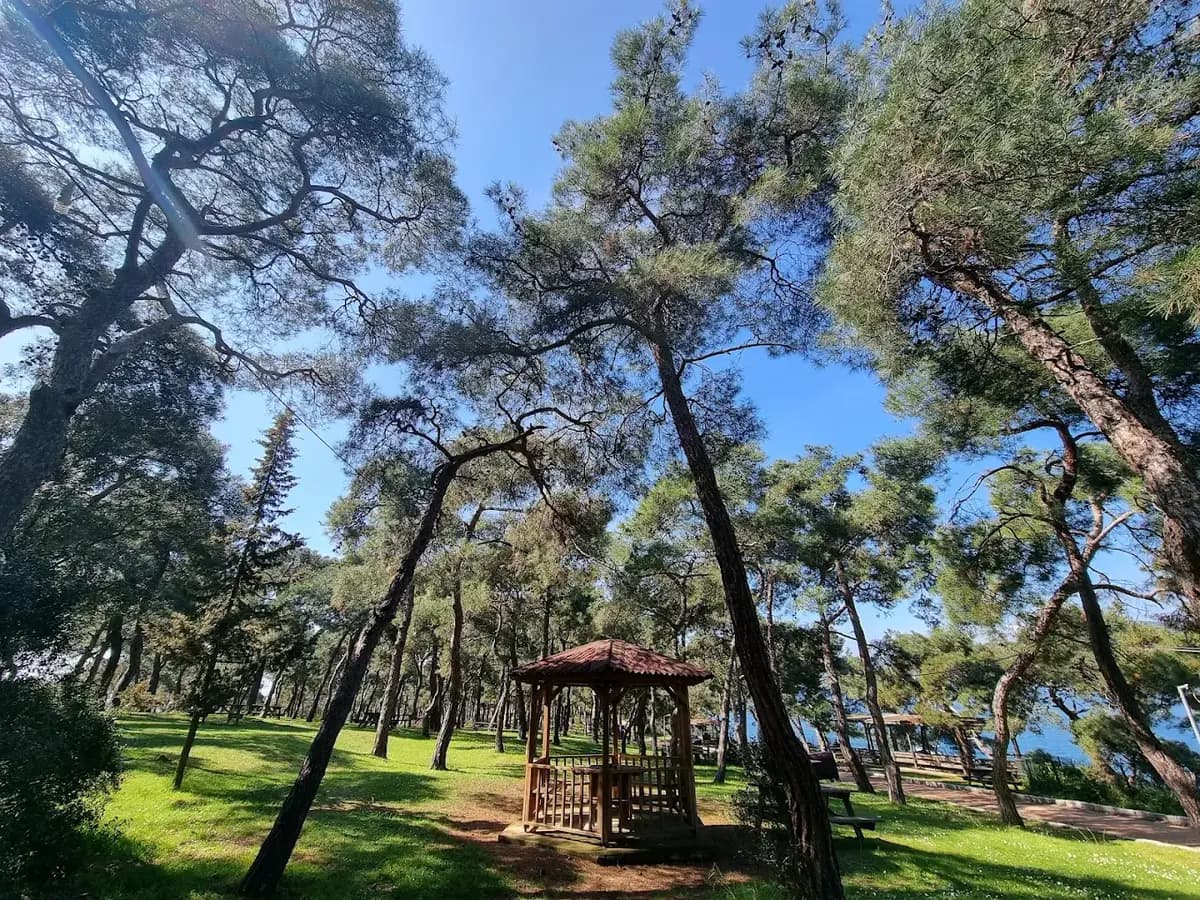 Dilburnu Tabiat Parkı Büyükada doğa ve deniz manzarası