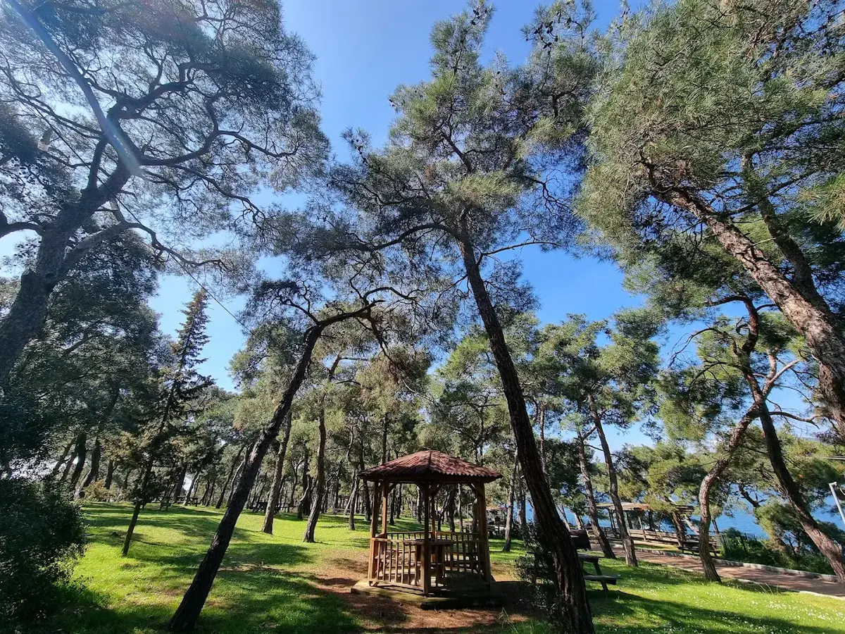 Dilburnu Tabiat Parkı Büyükada doğa ve deniz manzarası